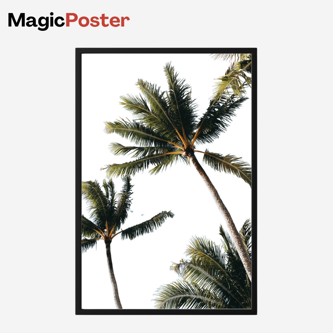 MagicPoster | “Tropical State of Mind”