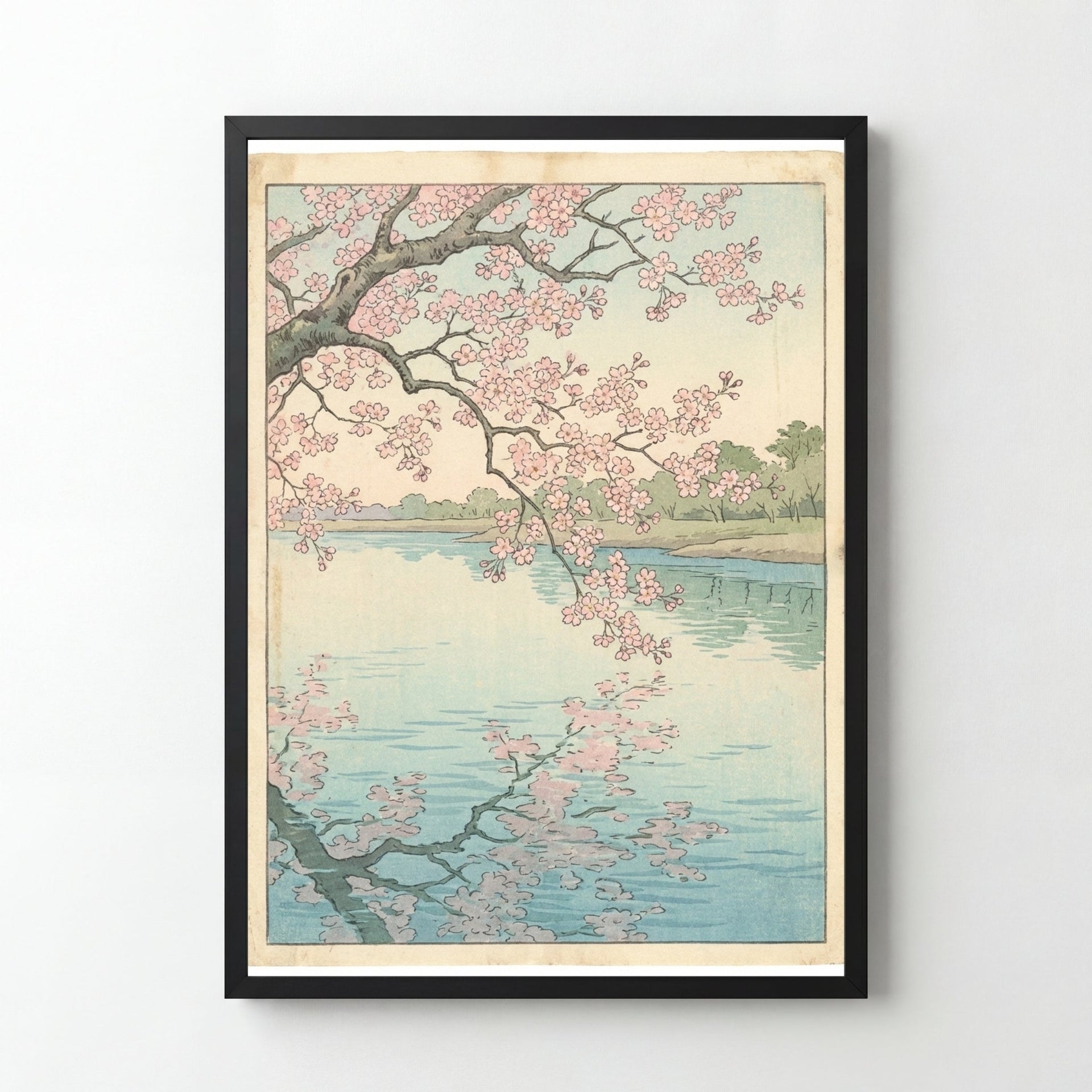 Magicposter | "Sakura River"