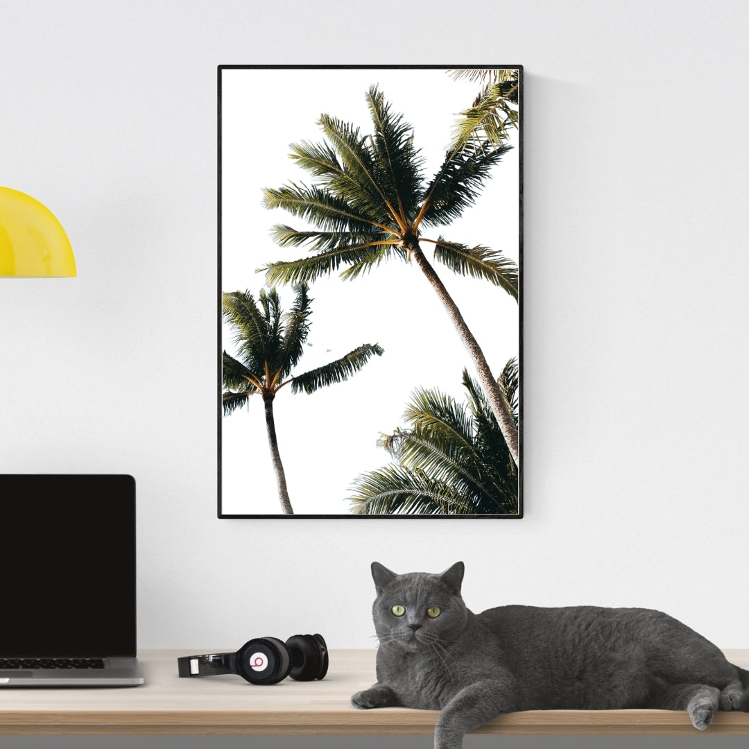 MagicPoster | “Tropical State of Mind”